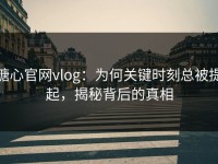 糖心官网vlog：为何关键时刻总被提起，揭秘背后的真相
