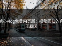 糖心vlog免费网页版：揭秘回归的真正原因