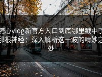 糖心vlog新官方入口到底哪里戳中了那根神经：深入解析这一波的精妙之处