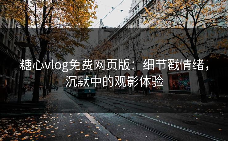 糖心vlog免费网页版：细节戳情绪，沉默中的观影体验