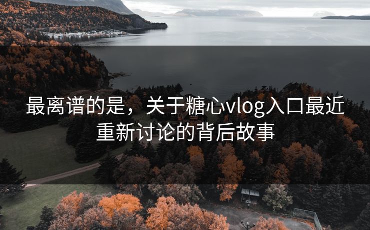 最离谱的是，关于糖心vlog入口最近重新讨论的背后故事
