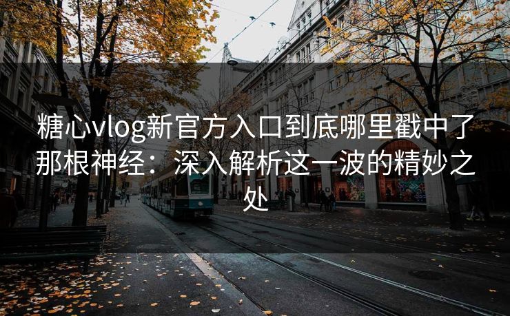 糖心vlog新官方入口到底哪里戳中了那根神经:深入解析这一波的精妙之处 糖心vlog新官方入口到底哪里戳中了那根神经:深入解析这一波的精妙之处
